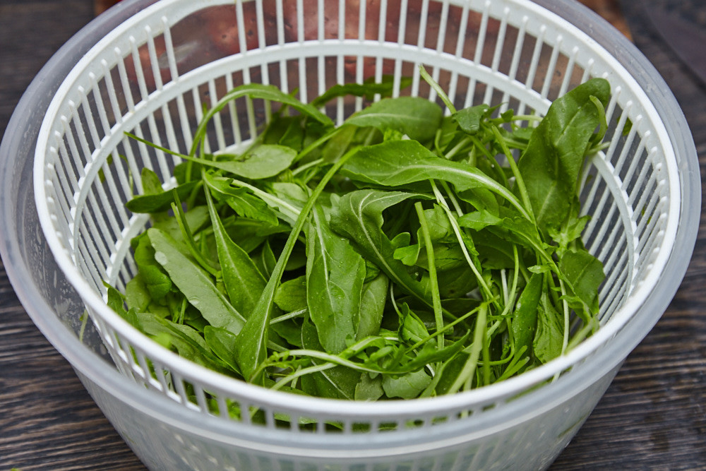 Finely dry the arugula for arugula salad with cherry tomatoes and parmesan