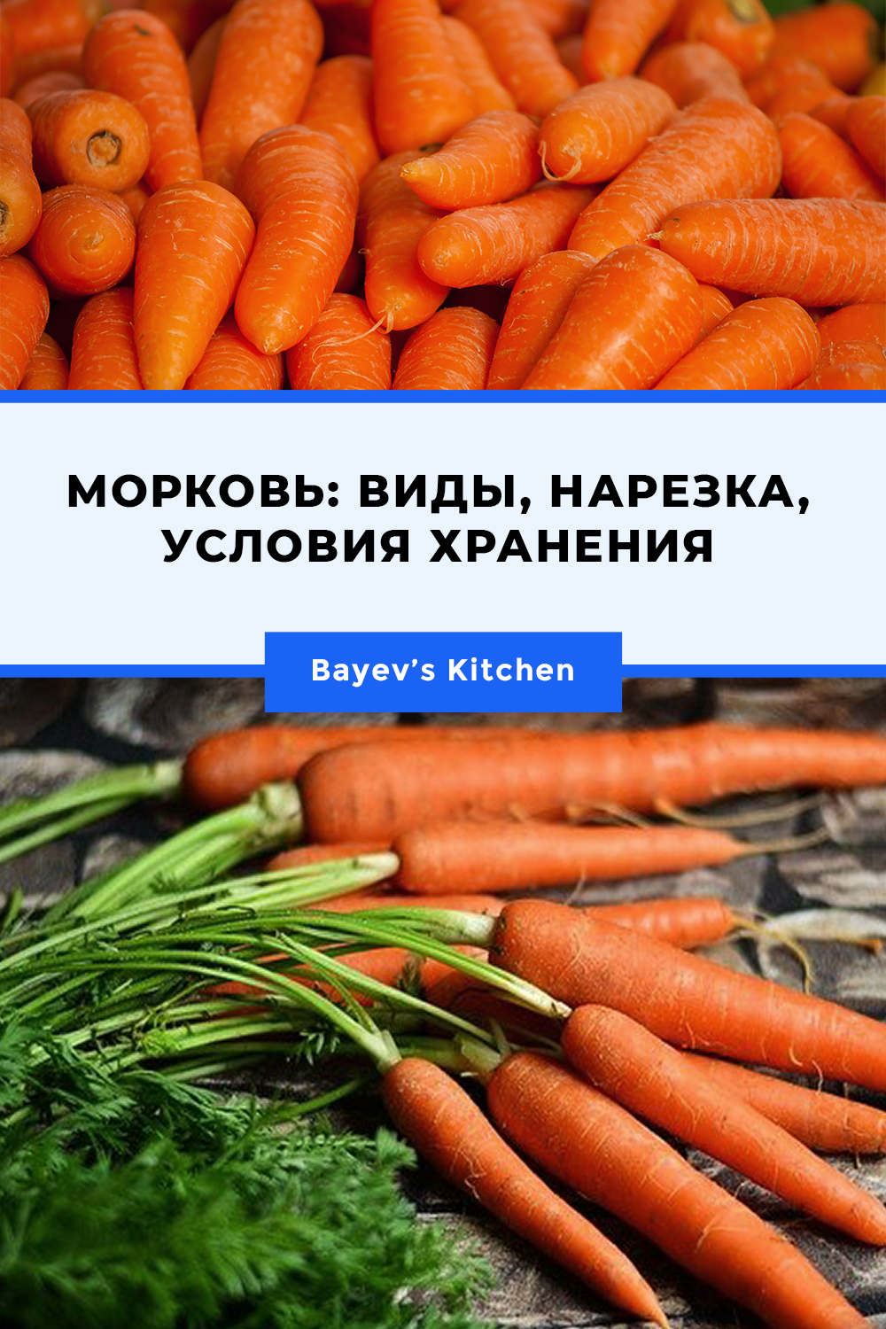 Морковь: виды, нарезка, условия хранения