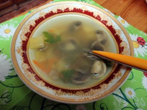 #37 Mushroom soup with beef broth