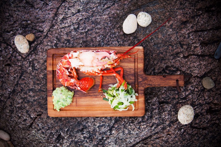 #38 Lobster and spicy guacamole salad