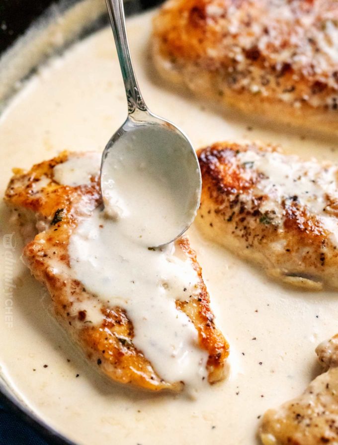 #43 Plain chicken breast with cream in garlic sauce