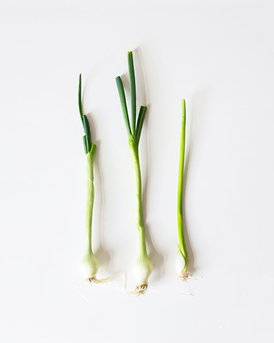 green onions as white onion substitute