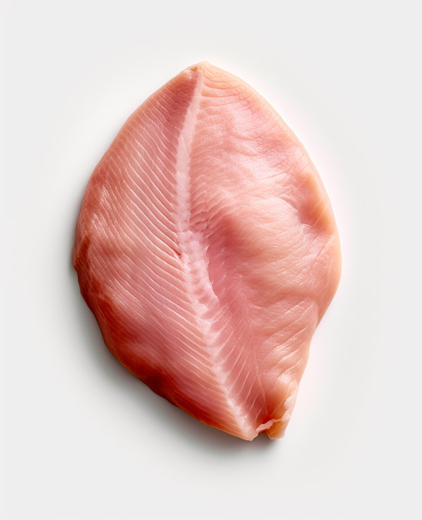 Turkey Breast as substitute for chicken breast